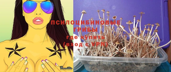 гашиш Богданович