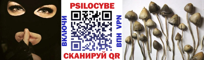 Псилоцибиновые грибы GOLDEN TEACHER  Верещагино 