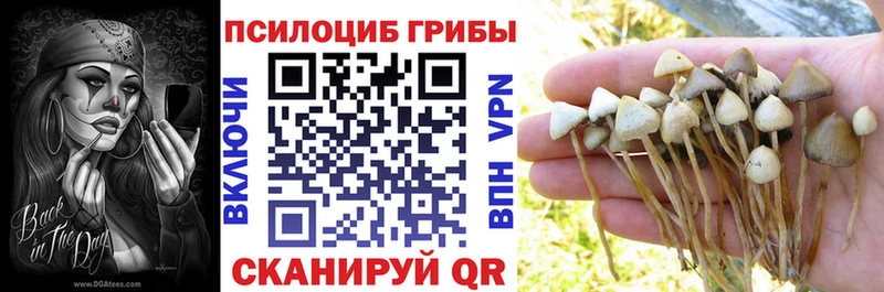 Галлюциногенные грибы прущие грибы Верещагино